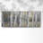 " Hidden Birch "-840053046