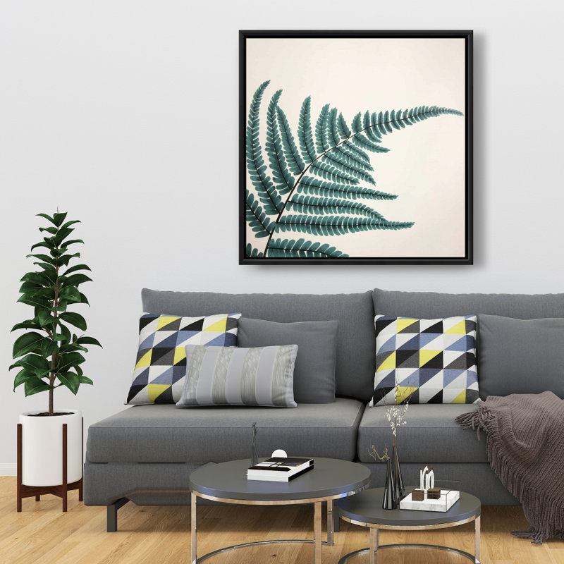 " Fern "