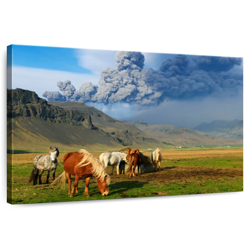 Brampt Icelandic Ponies, 16" H x 24" W