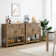 Latiasha 35.4'' Console Table with Drawers and Cabinet