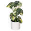 11.5'' Faux Plant in Pot-94734881