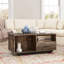 Lyndale Solid Coffee Table with Storage