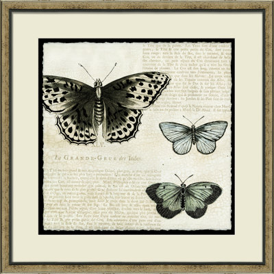 Butterfly Collage " Butterfly Collage II "