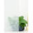 Graphics Window Decal