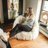 Standard Bean Bag Chair-740130891-803457993