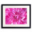 Second Peony Print by Drew Gaffney-65852677-132458381