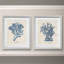 "Sea Coral Study I", ensemble de 2 reproductions d’art graphique encadrées sur papier