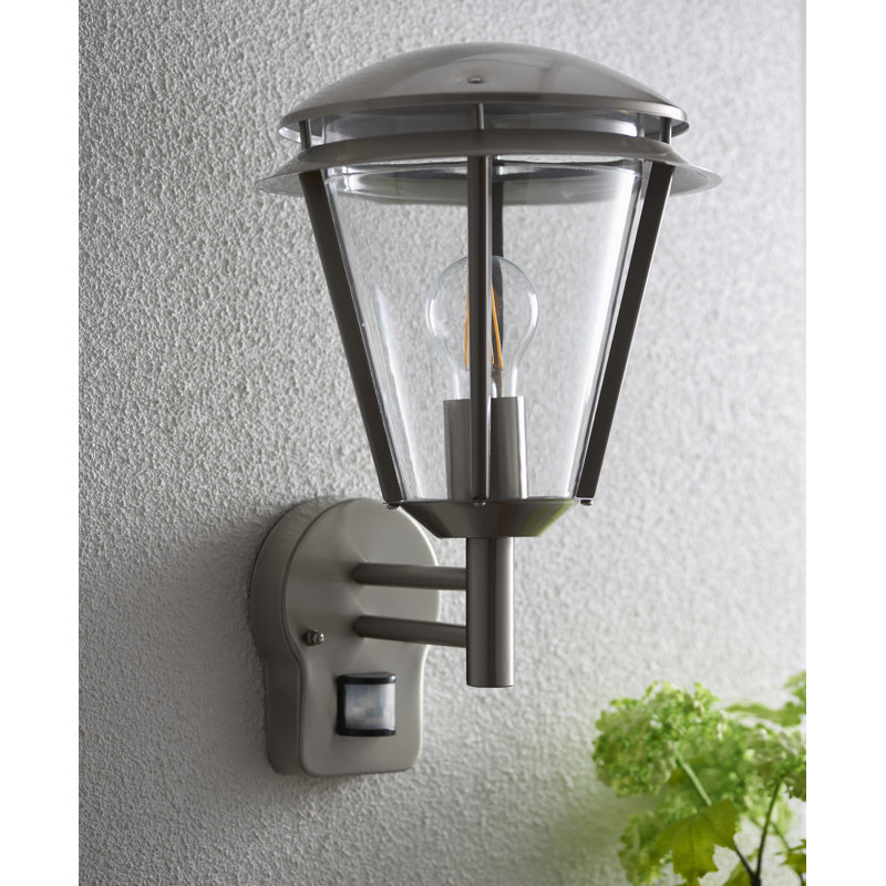 Nellie 38cm H Outdoor Wall Lantern, Brushed Stainless Steel