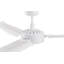 Carolina 56in 3-Blades Indoor/Outdoor Ceiling Fan with Remote Control-1694932916