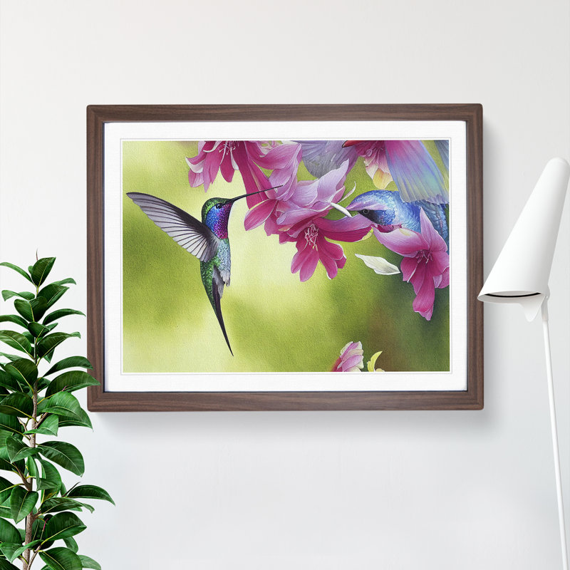 Hummingbird Vol.1 - Single Picture Frame Print, 34cm H x 46cm W x 2cm D, Walnut Framed