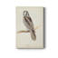 Canada Owl - impression sur toile tendue-1778319960