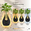 Terrariums muraux de propagation de plantes avec lumières, 2 pce