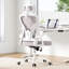 High Back Ergonomic Mesh Office Chair-718262169