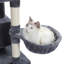 Grand arbre à chat-812284793