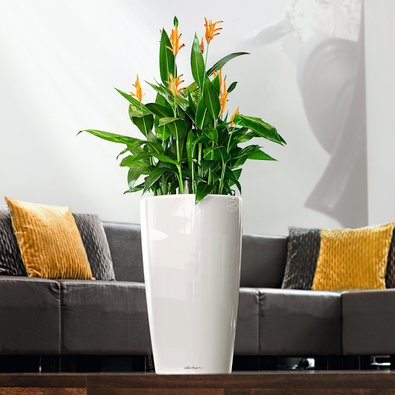 Rondo Pot Planter, White, 56 cm H x 32 cm W x 32 cm D
