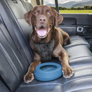 Splash Free Wander Water Bowl