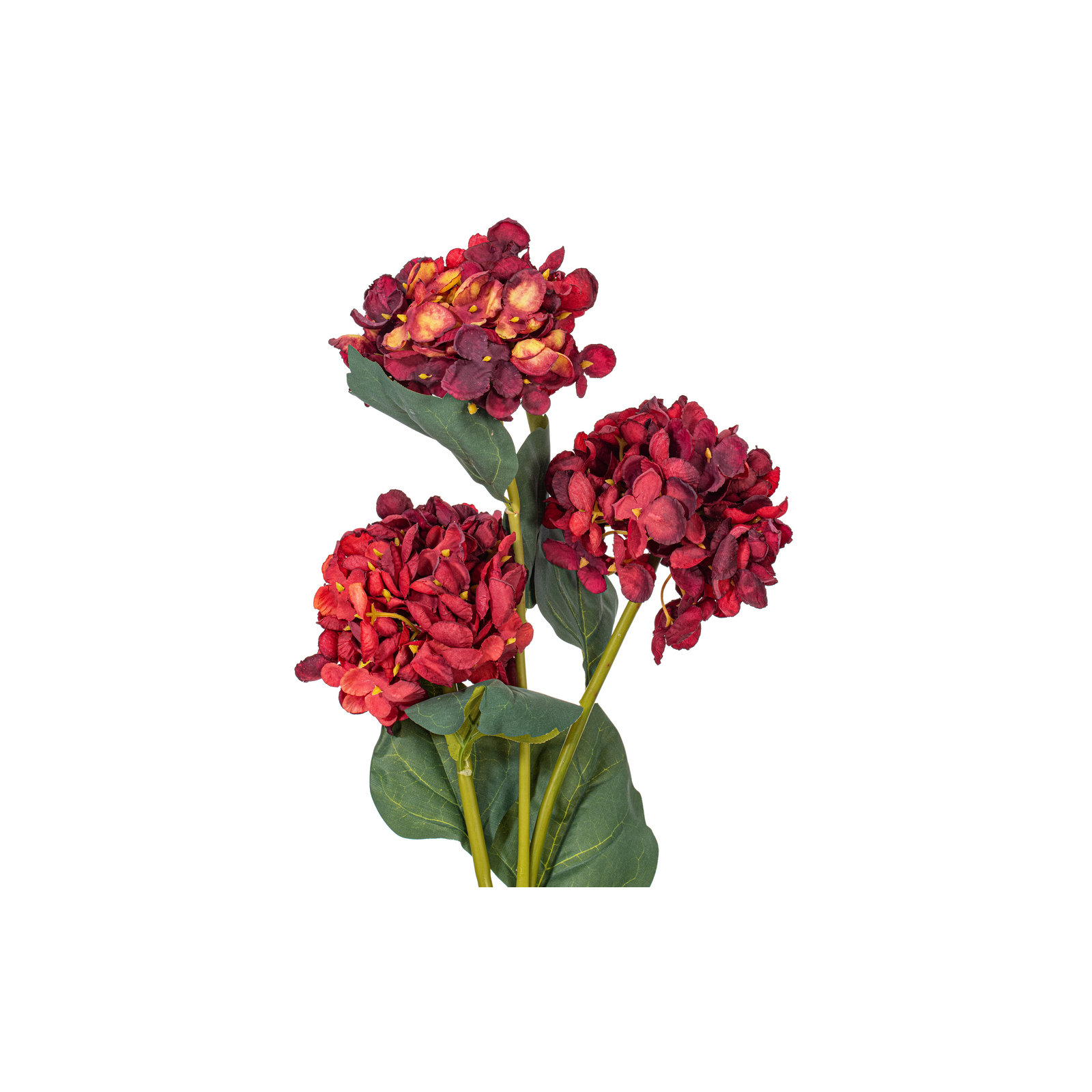 Hydrangea Stem, Burgundy