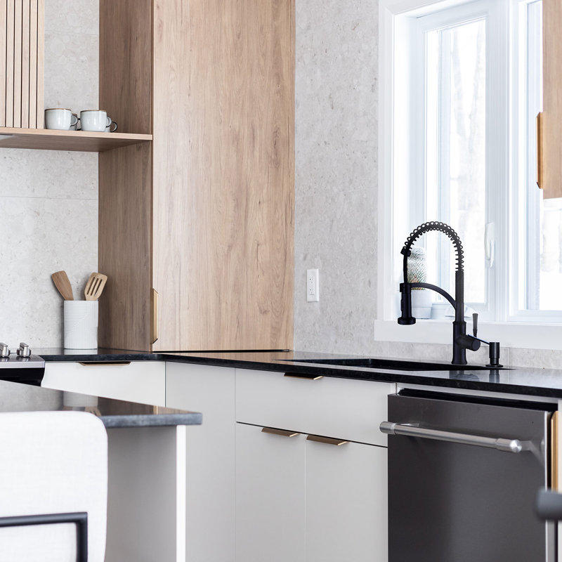 AGUA CANADA Magico Pull Down Kitchen Faucet, Matte Black