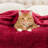 Superior Solid Polyester Reversible All-Season Fleece Throws Blanket-904113369-845056056