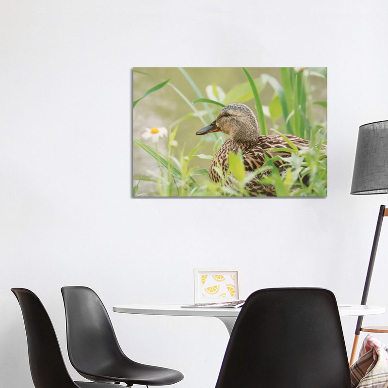 Daisy Duck by Louis Ruth - Wrapped Canvas Print, 101.6 cm H x 66.04 cm W x 1.91 cm D