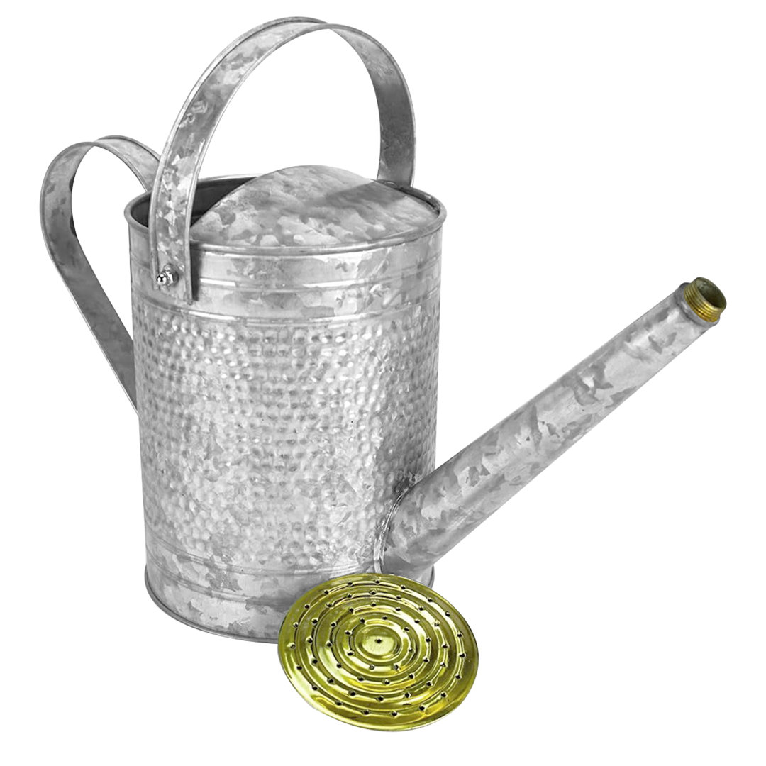 Jameson 1 Gallon Galvanized Watering Can with Handle for Patio, Lawn, and Garden Jameson