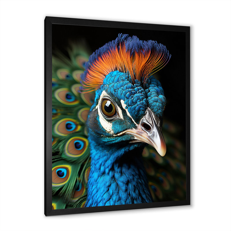 Peacock Animal Protrait - imprimé, Cadre photo noir, L 12 po x H 20 po