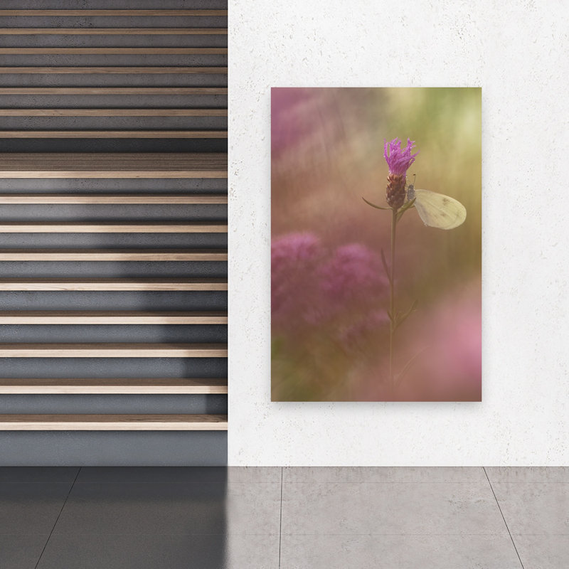Delicate Thistle Butterfly Delicate Dreamy Ethereal Butterfly Flower Nature Wall Art Print 1 Piece Wrapped Canvas Wall Art