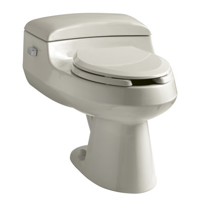 San Raphael® 1 GPF Water Efficient Elongated One-Piece Toilet (Seat Included)
