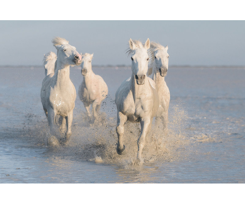 Wrapped Canvas Print, 50.8 cm H x 76.2 cm W