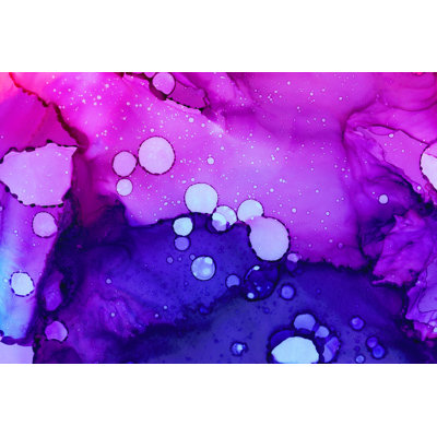 Raster Illustration 1 Piece Wrapped Canvas Wall Art