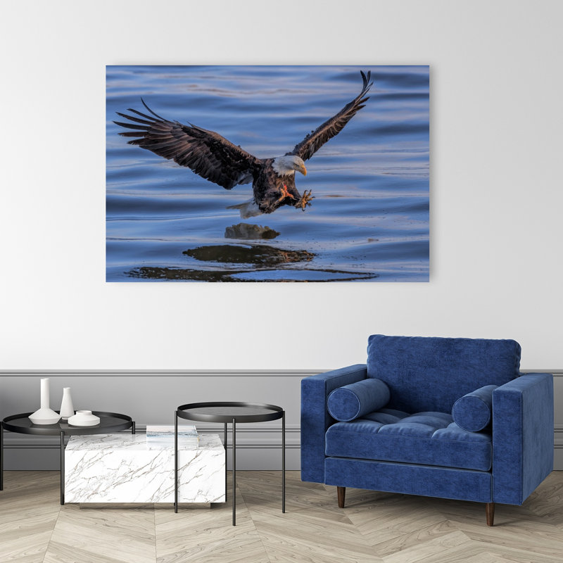 Aigle à tête blanche atterrissant dans l'eau - Illustration contemporaine d'un aigle, nature et faune, 40" H x 60" W