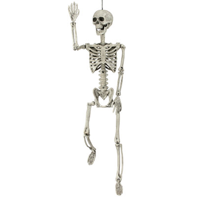 36" Plastic Skeleton