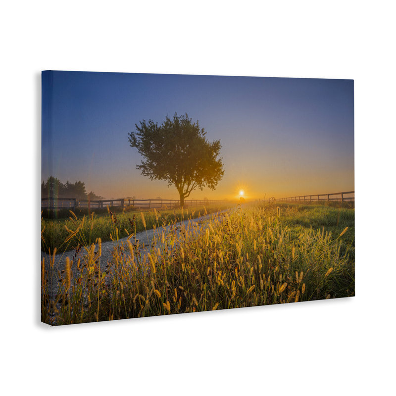 «Rising Sun Horizon», art mural sur toile par Marty Hulsebos, H 24 po x l 36 po