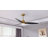 Kingsteignt 60'' Ceiling Fan with LED Lights-972735809
