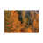 Canvas selected