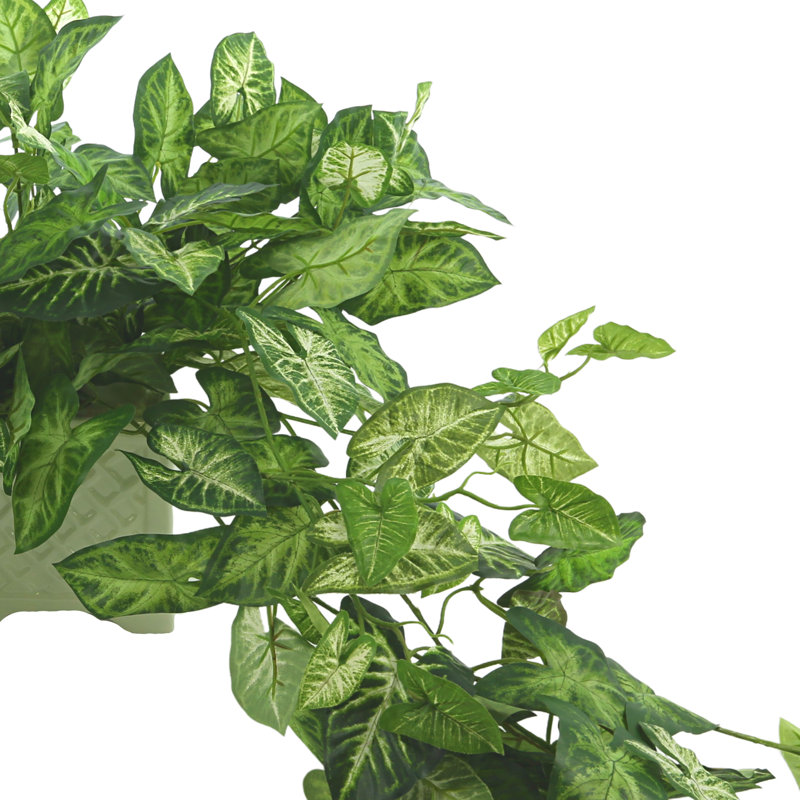 Ochoa Faux Syngonium Plant in Ceramic Vase