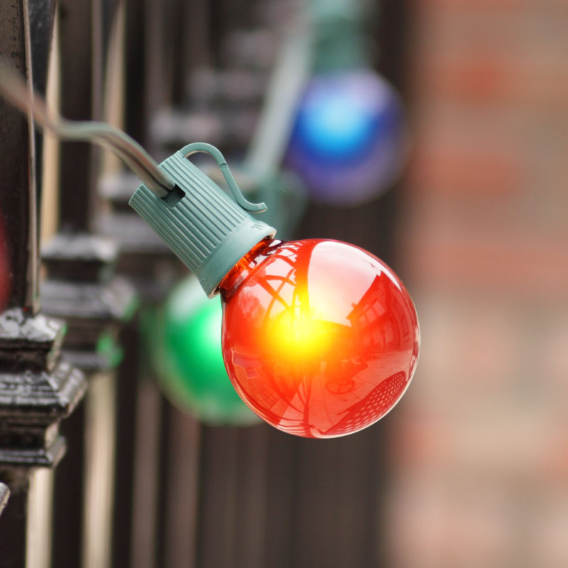 Outdoor 50 - Bulb 600'' Plug-in Globe String Light