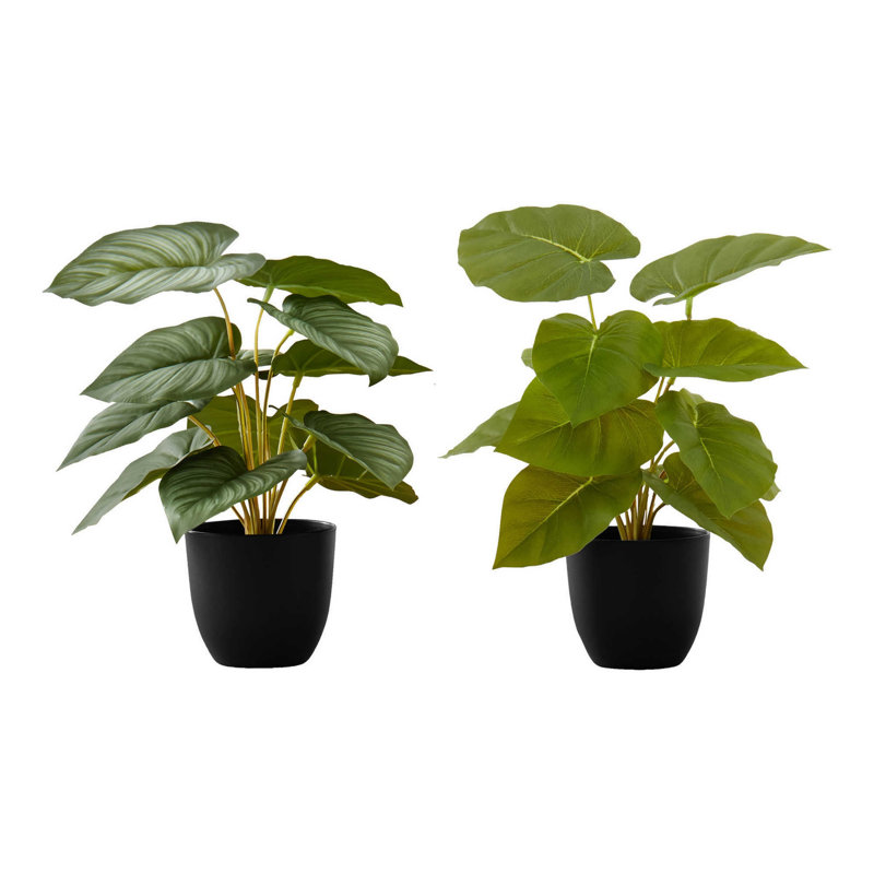Plante 12,5 po Mcclellan