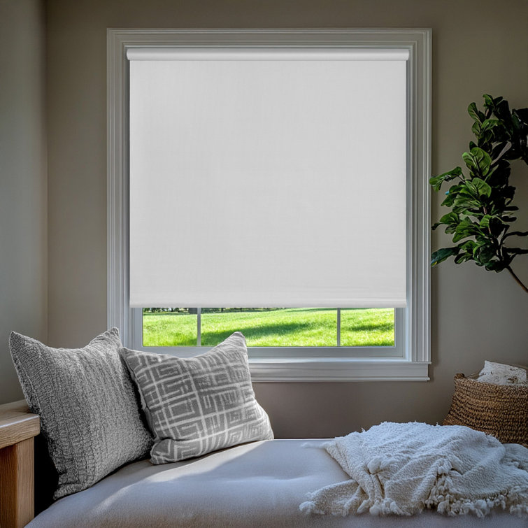 Darst Cordless Blackout Window Roller Shade