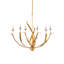 Menefee 6 - Light Chandelier