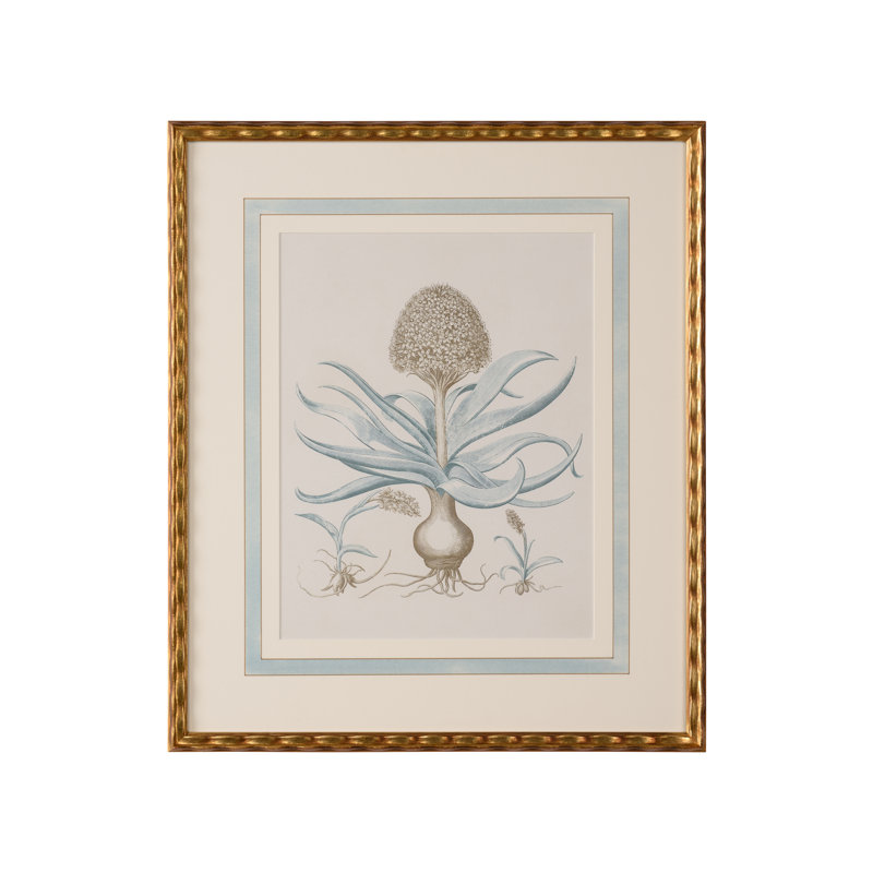 Besler Botanicals in Willow Blue IV