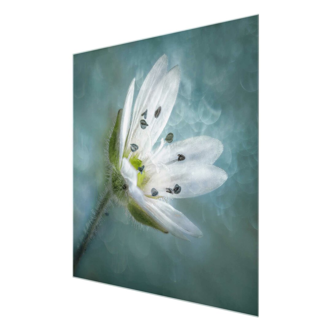 Glasbild White Flower