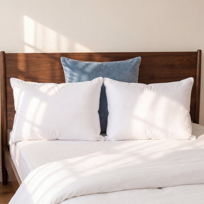 Plush Feather Pillow