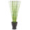 32'' Grass in Earthenware Pot