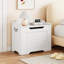 Coffre de rangement-1676407101