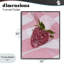 Giclée encadrée de fraise sur fond rose, design par Lish Creative-130746022-130746023