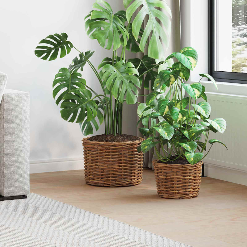  Planter Basket With Storage 2 Pcs Decor Container Display Woven Outdoor, Brown