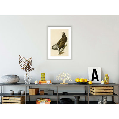 White-Headed Eagle by   John James Audubon -Framed Giclee Print