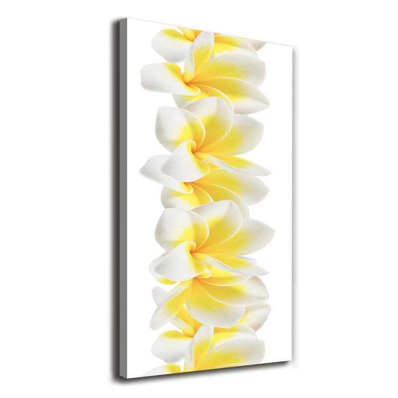 Plumeria - Wrapped Canvas Print