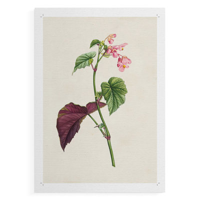 «Pretty Pink Botanicals VI», impression sur toile seulement - non encadrée